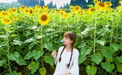 国产高清管线视频免费